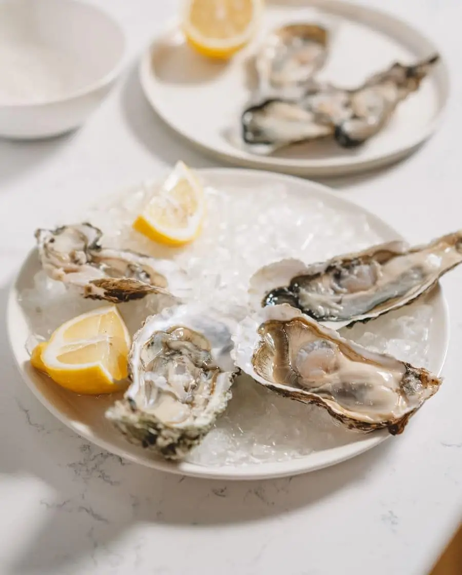 Austern vom Markt